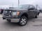2009 Ford F-150 XLT
