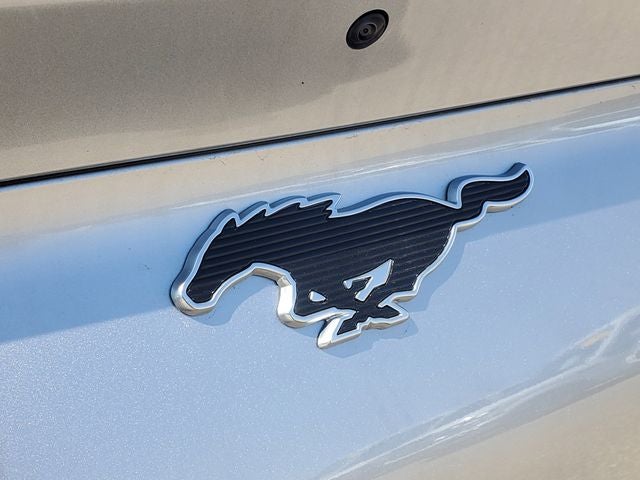 2021 Ford Mustang Mach-E Select